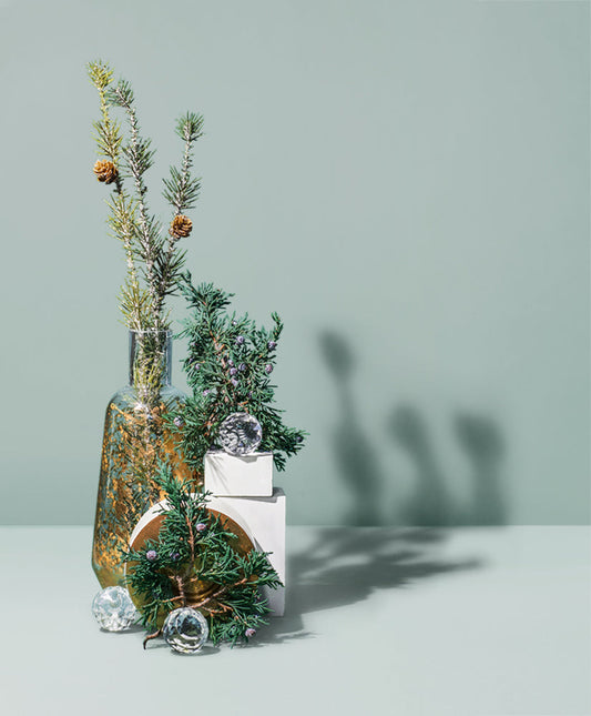 juniper fir & balsam spruce - the stash