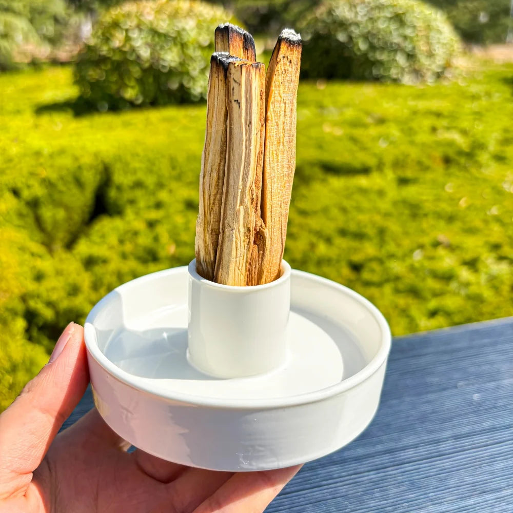 Natural Palo Santo Holy Wood Stick Set
