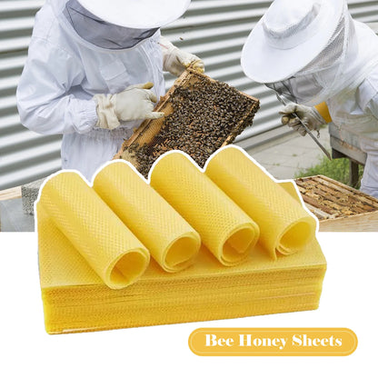 10-Piece Beeswax Honeycomb Foundation Sheet Set