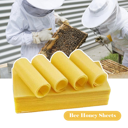 10-Piece Beeswax Honeycomb Foundation Sheet Set