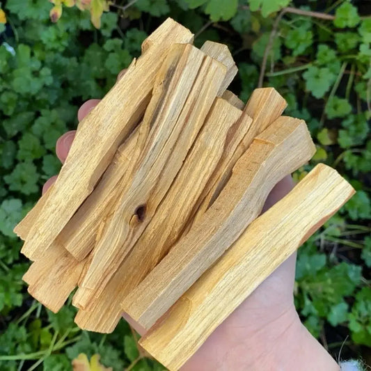 Natural Palo Santo Holy Wood Stick Set