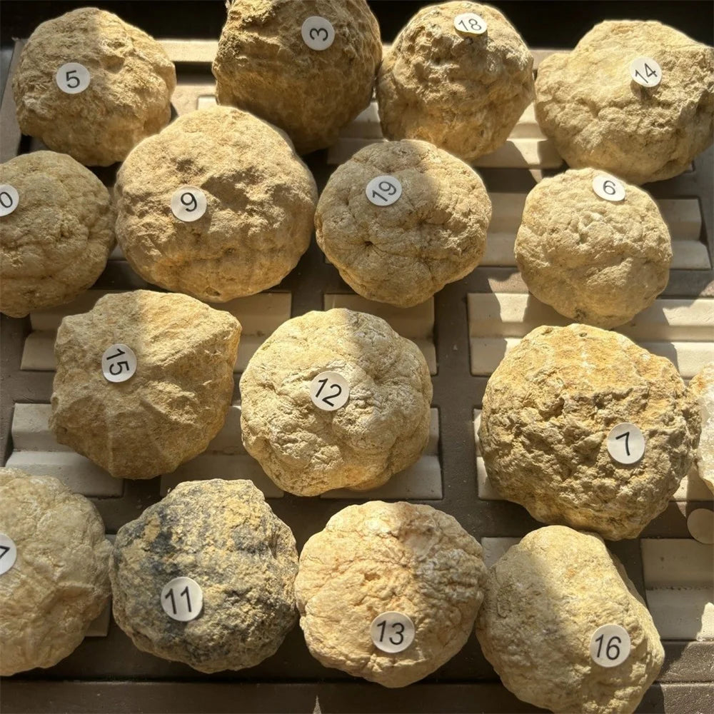Bulk Wholesale Unopened Natural Agate Geodes Collection