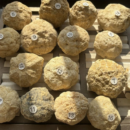 Bulk Wholesale Unopened Natural Agate Geodes Collection