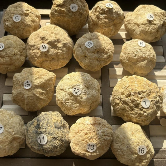 Bulk Wholesale Unopened Natural Agate Geodes Collection