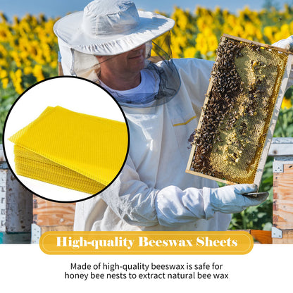 10-Piece Beeswax Honeycomb Foundation Sheet Set