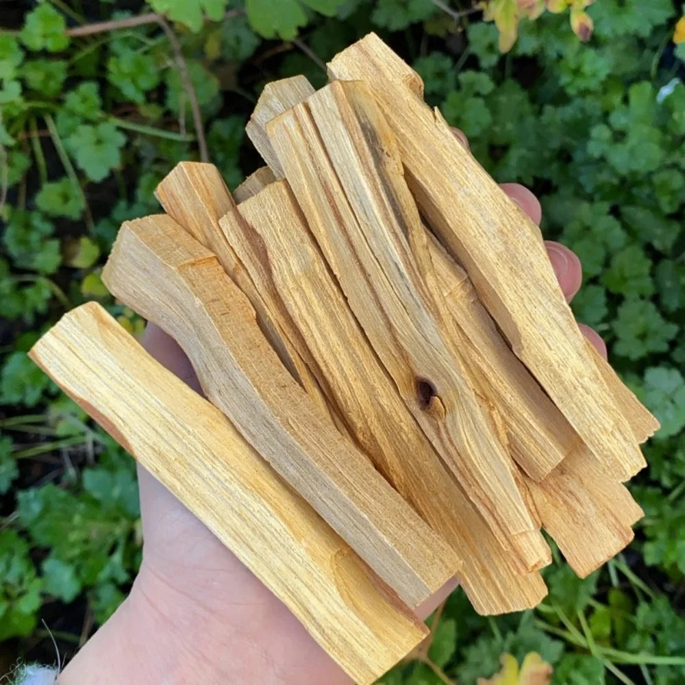 Natural Palo Santo Holy Wood Stick Set