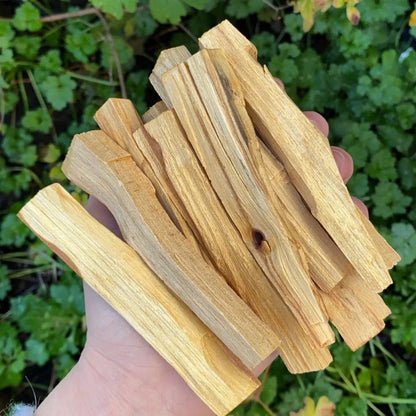 Natural Palo Santo Holy Wood Stick Set
