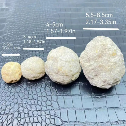 Bulk Wholesale Unopened Natural Agate Geodes Collection